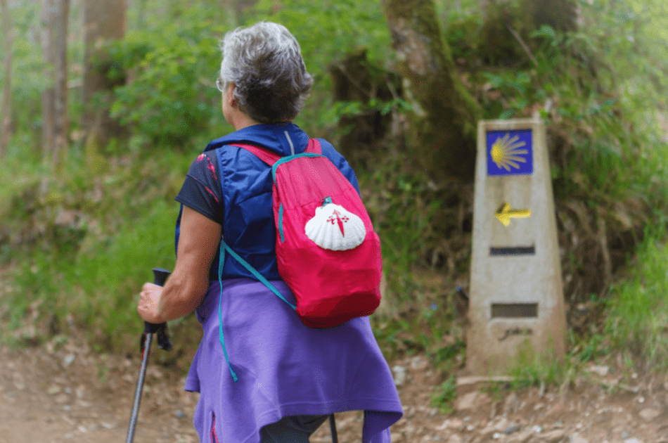 Camino de Santiago