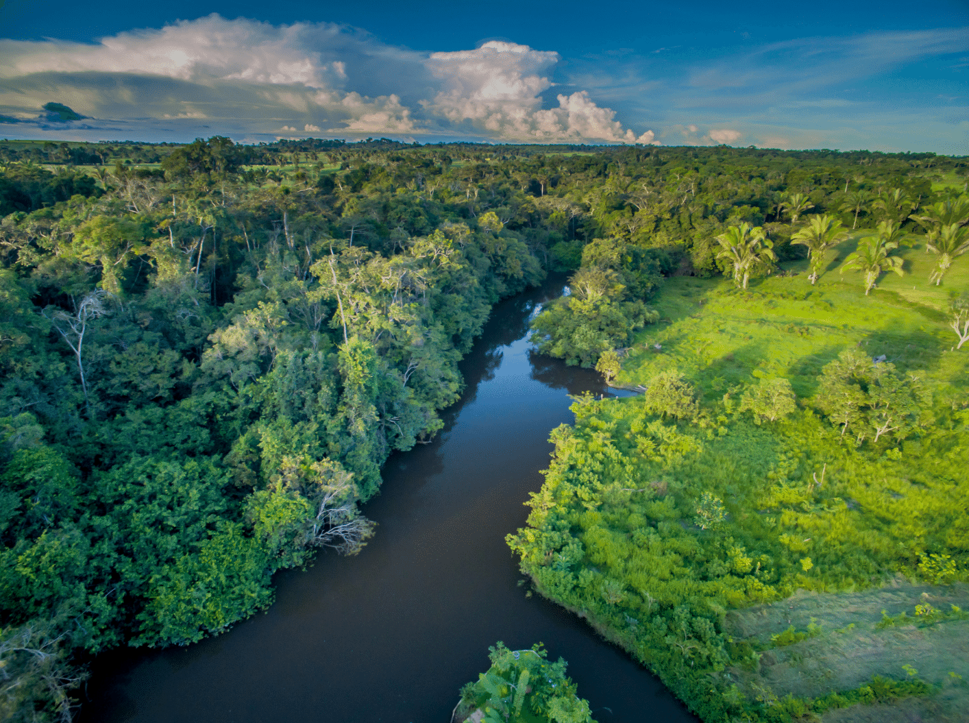 Amazonas colombiano