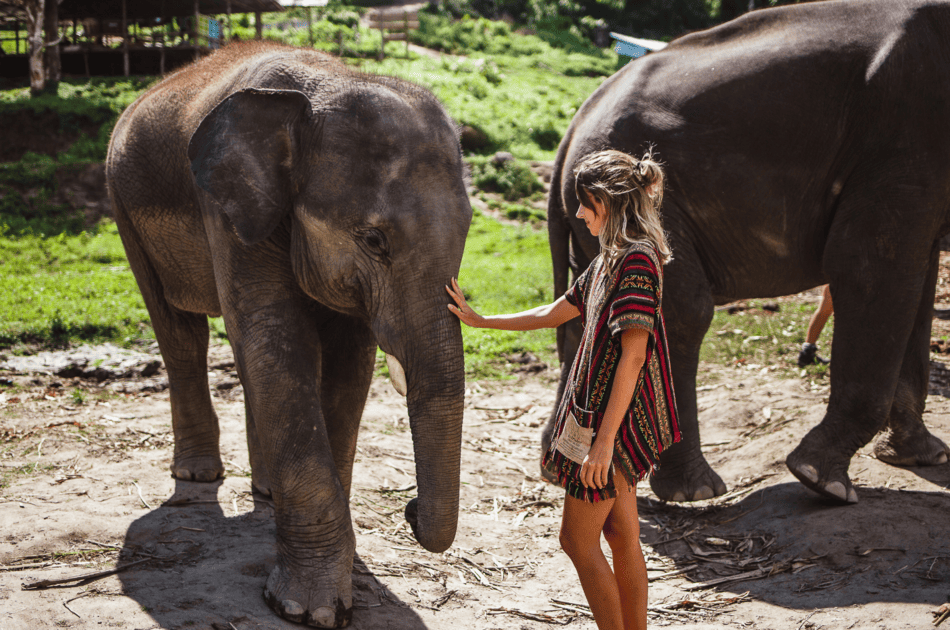 Chiang Mai