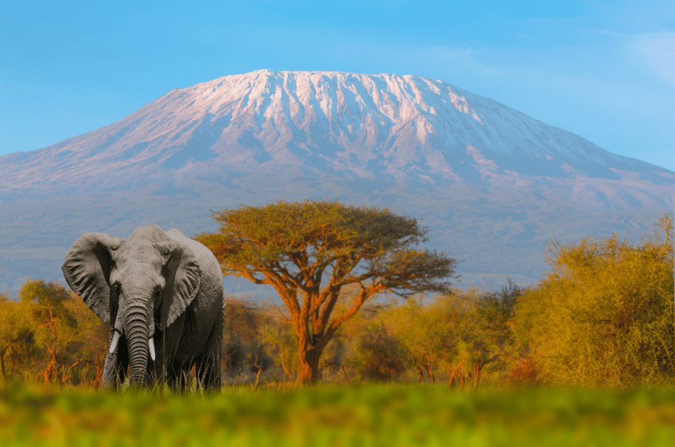 Safari en Kenia