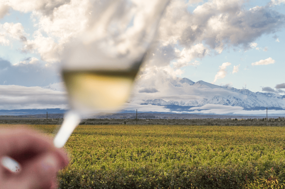Vino en Mendoza