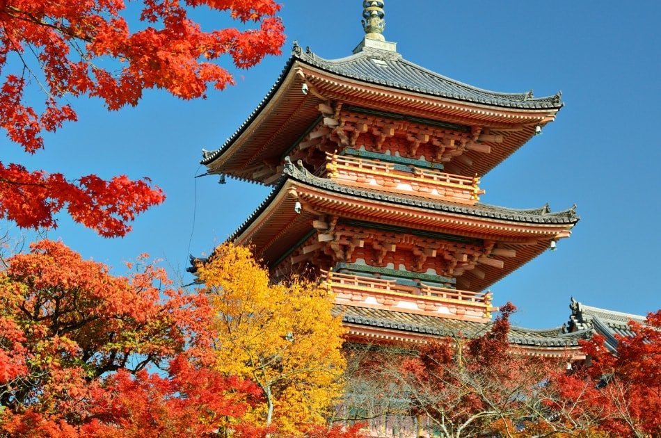 Japon Y Corea Del Sur